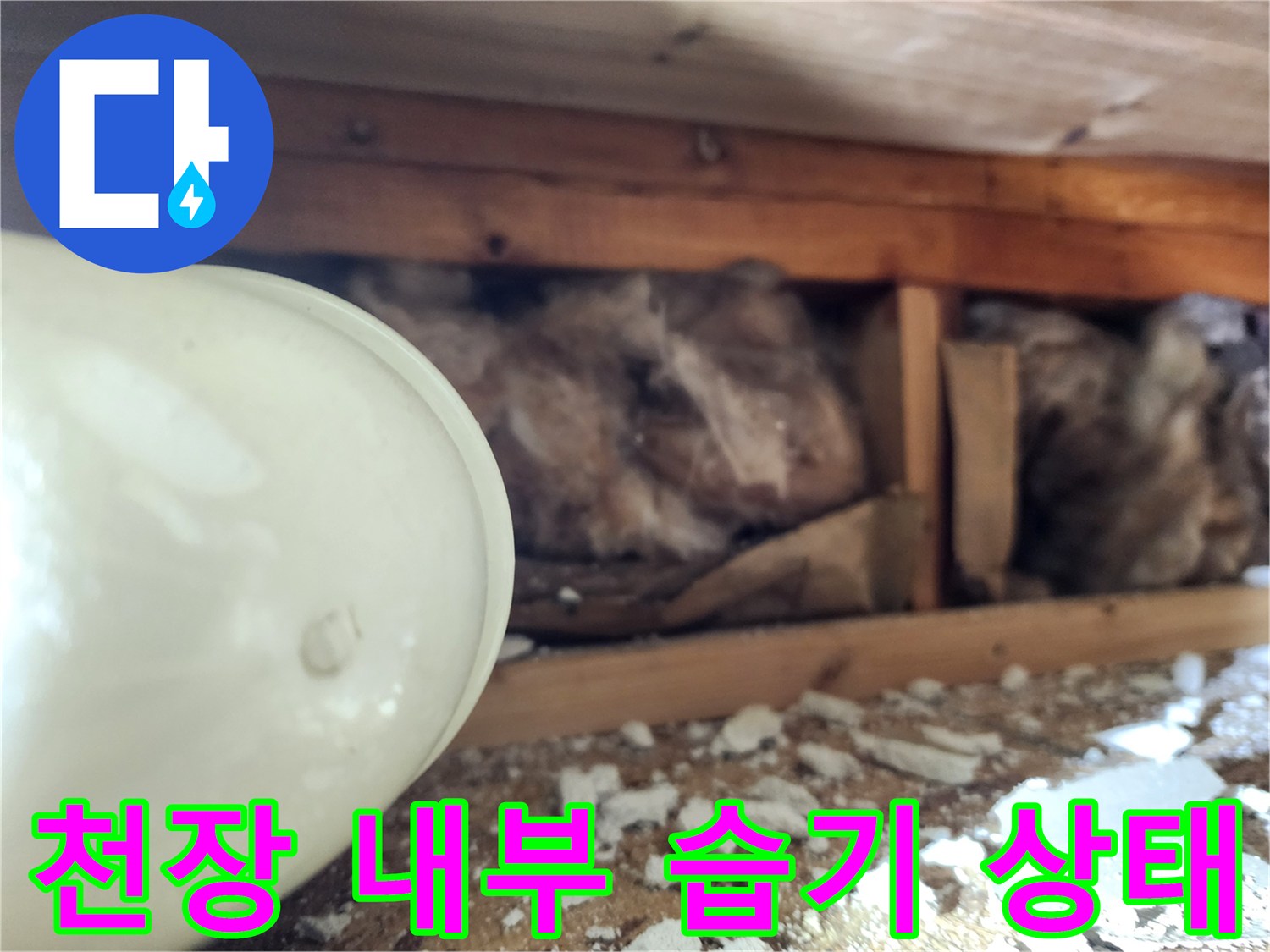 화장실-천장-내부-습기로-오염된-상태