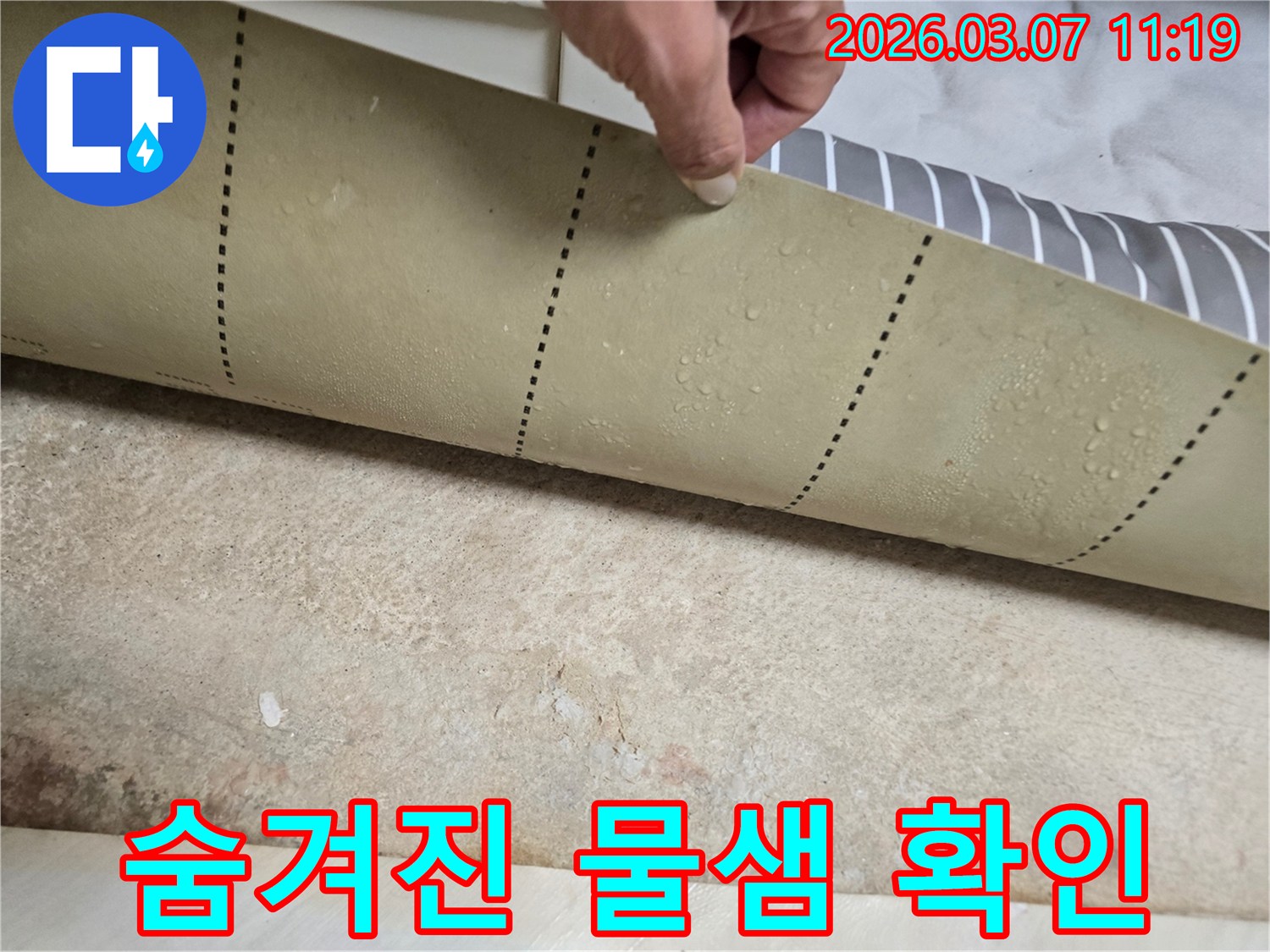 바닥-장판-밑에서-발견된-명확한-누수-증거-사진