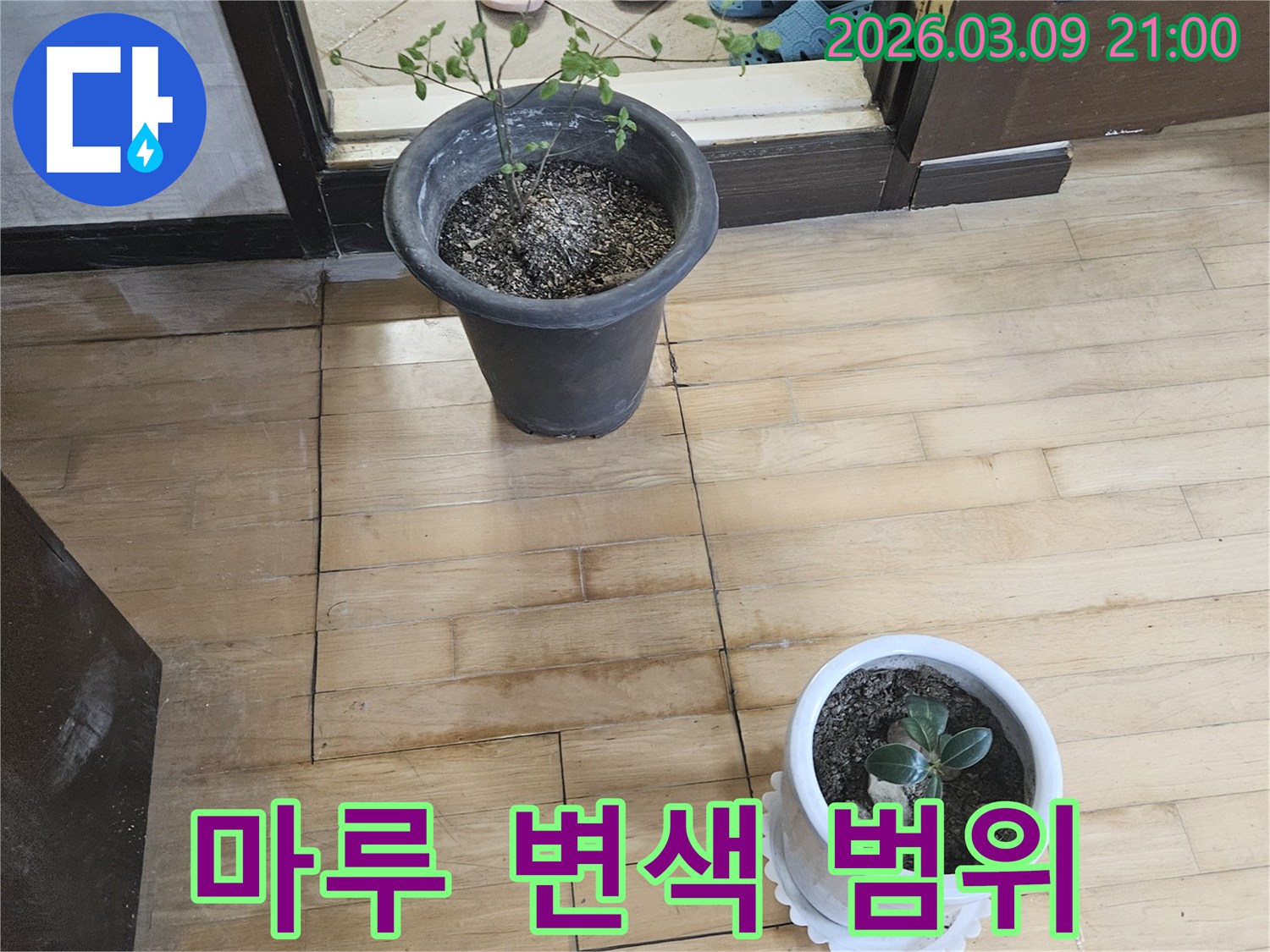 마루-바닥에-넓게-퍼져-있는-누수-피해로-인한-변색-범위를-보여주는-사진