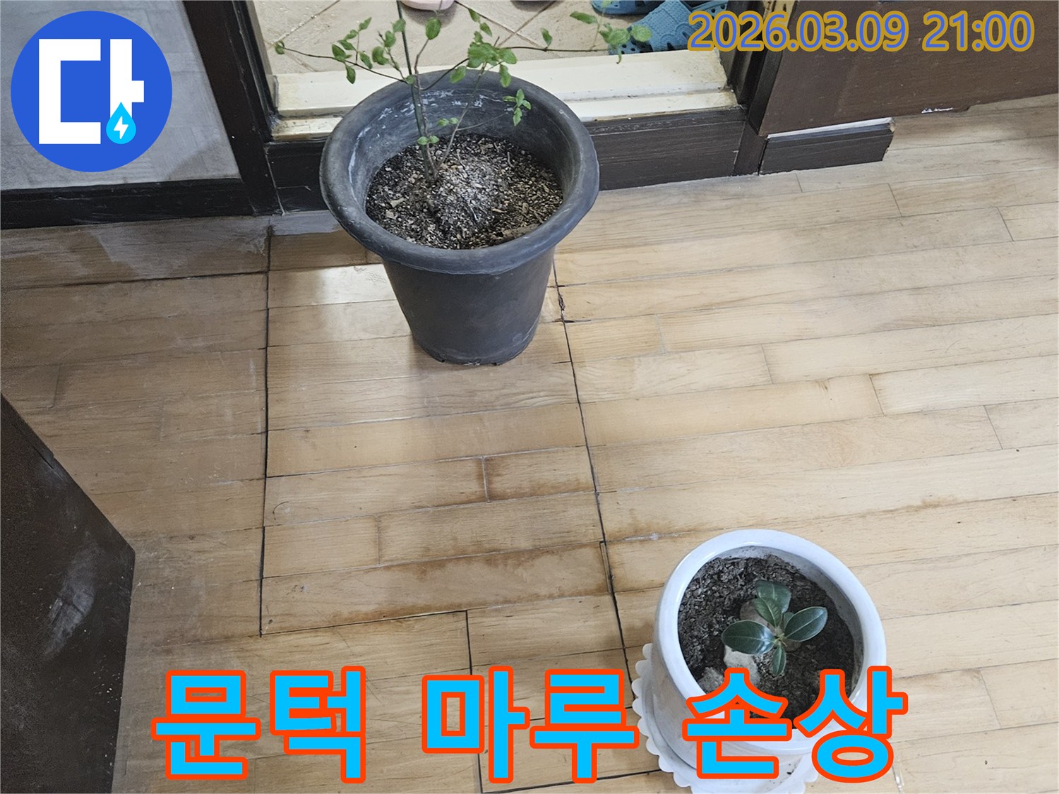 문턱-근처-마루-바닥에-물기가-스며들어-어둡게-변색되고-손상된-모습