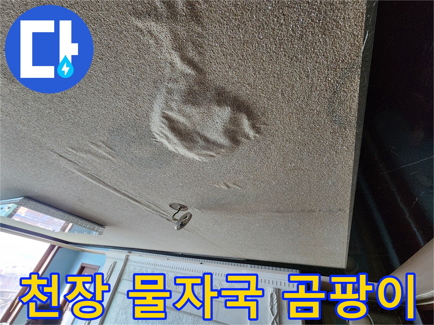 아랫집 천장에 발생한 커다란 물자국과 곰팡이 흔적