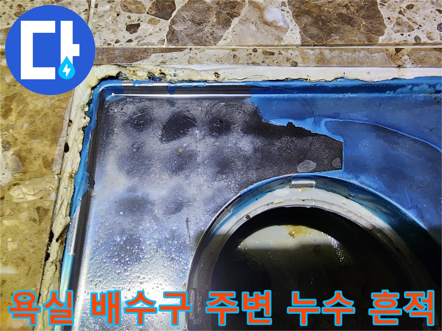 욕실-배수구-주변의-젖은-타일-상태