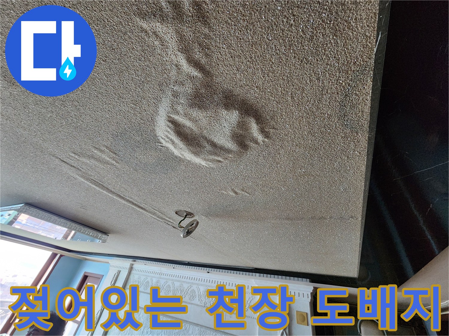 천장에 나타난 넓은 범위의 물자극 및 젖음