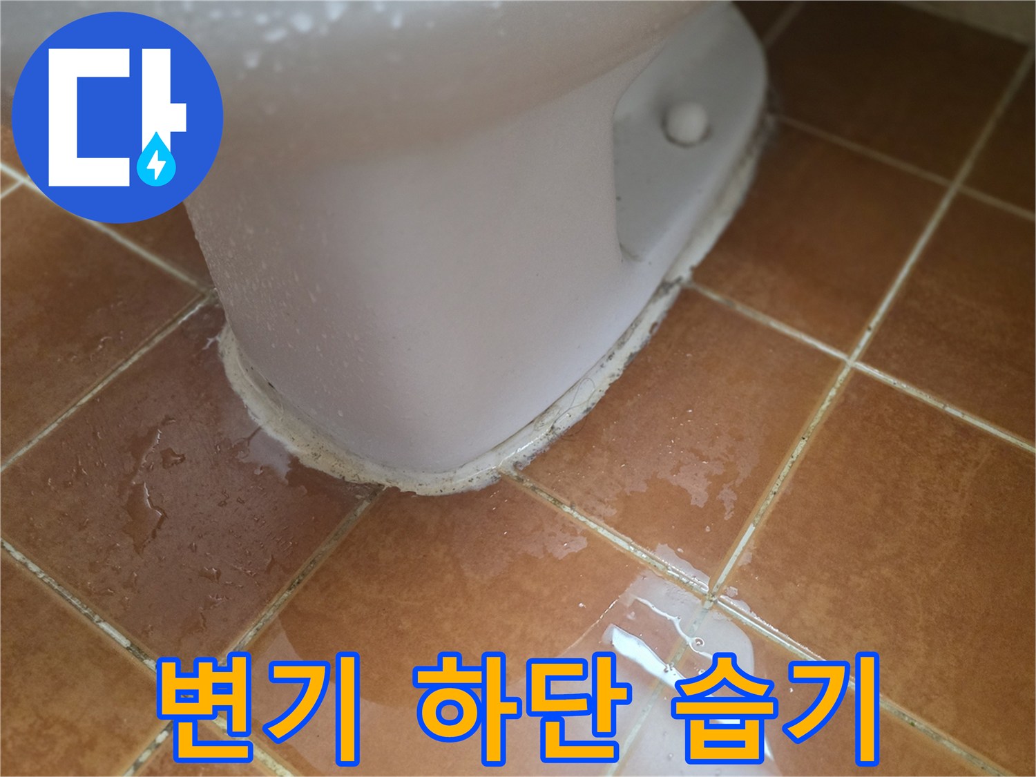 변기-밑부분-타일-사이-물고임-확인