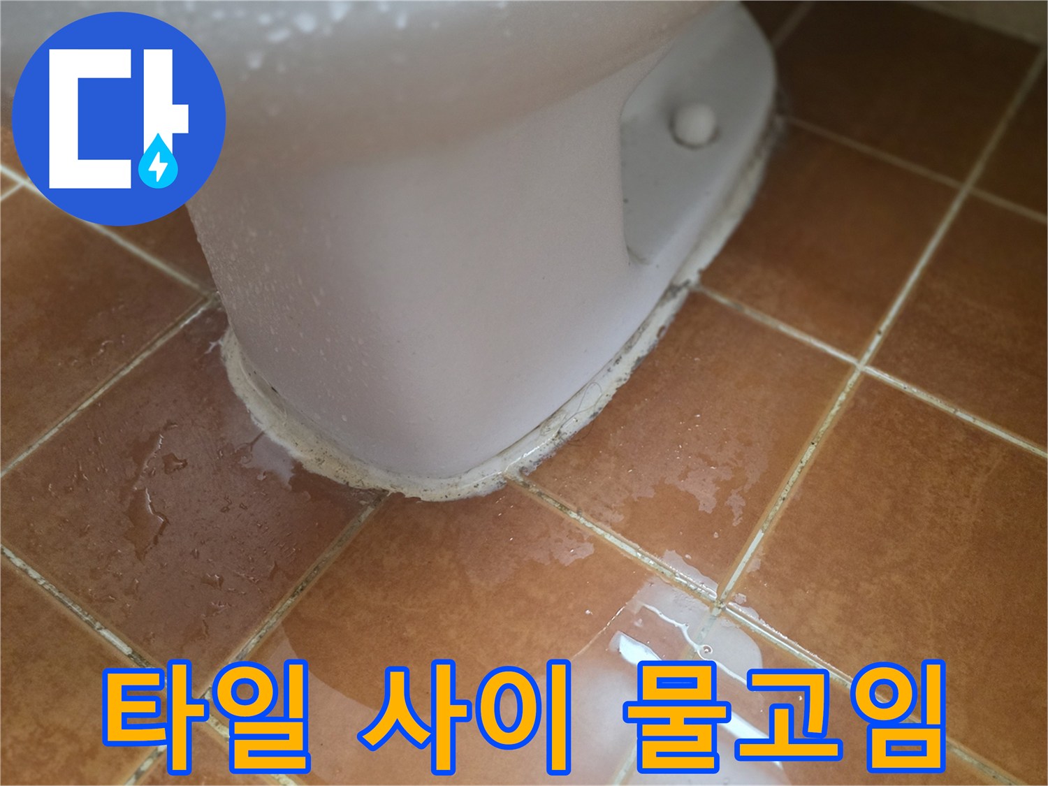 변기-하부-타일-틈새의-물고임-상태