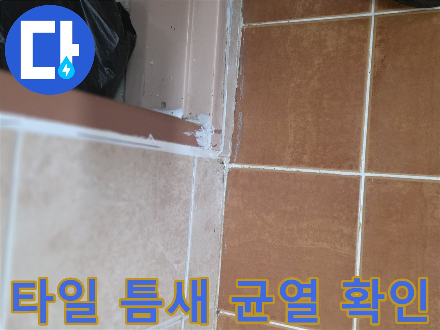 욕실-타일-경계-부위-균열-확인
