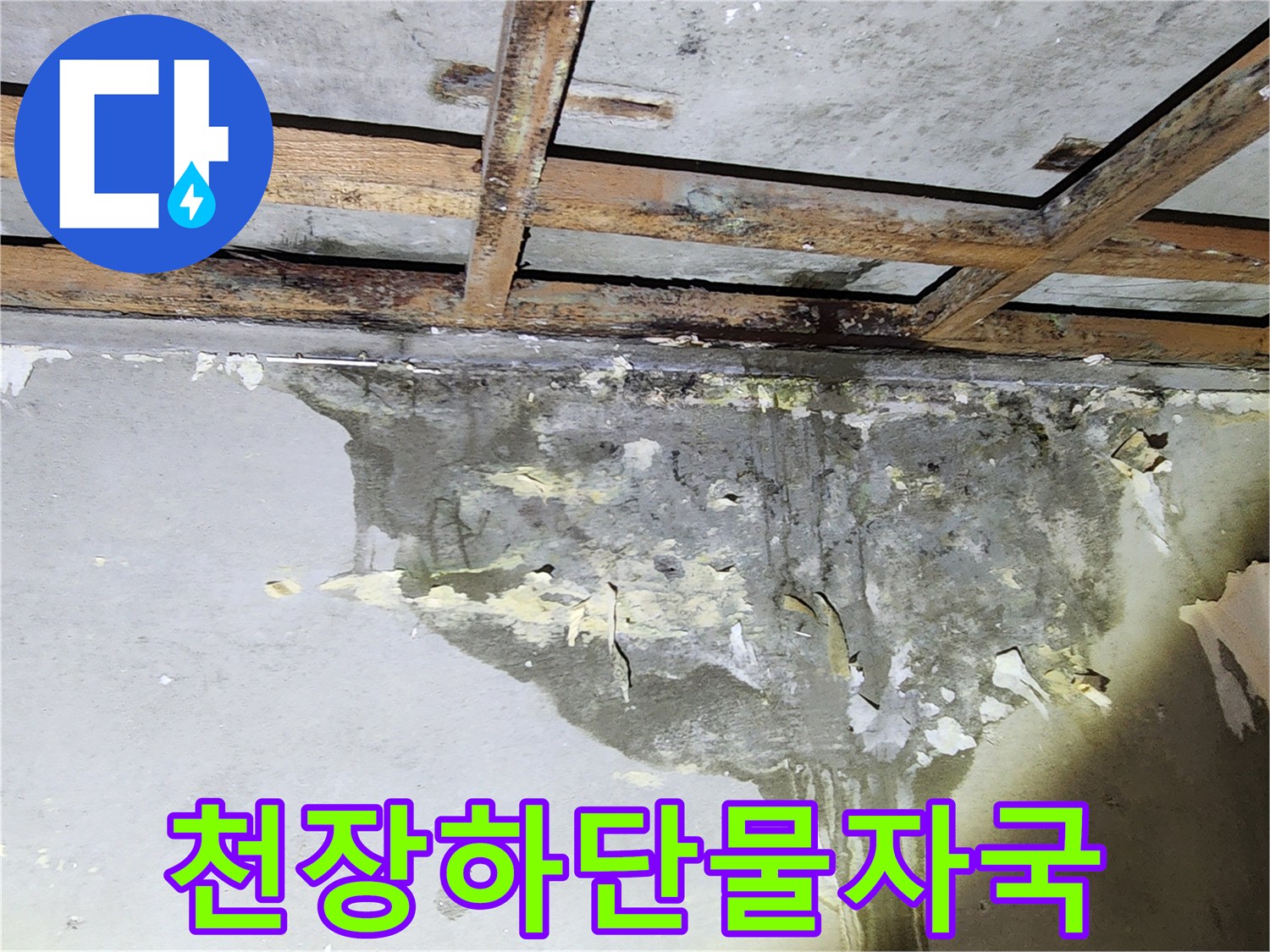 천장-구조물-아래로-스며든-누수-흔적과-습기