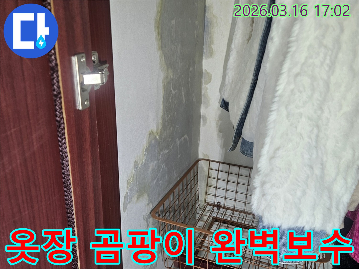 옷장 내부- 벽면에 생긴- 곰팡이와- 물기로 인한- 손상 부위