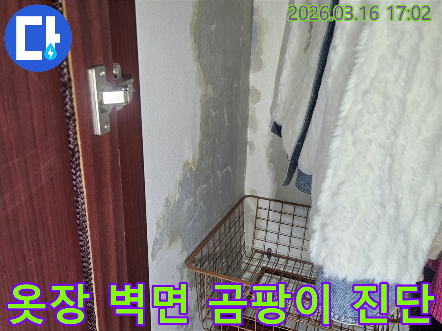 옷장 안쪽 벽면 하단에- 물이 스며들어- 곰팡이와- 습기가 가득한 모습