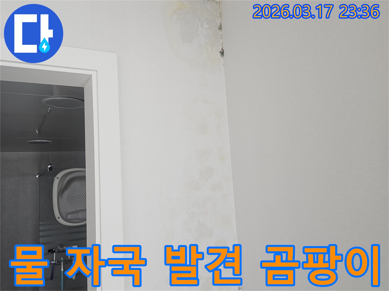 물-자국과-곰팡이-발생한-천장-벽면-모습