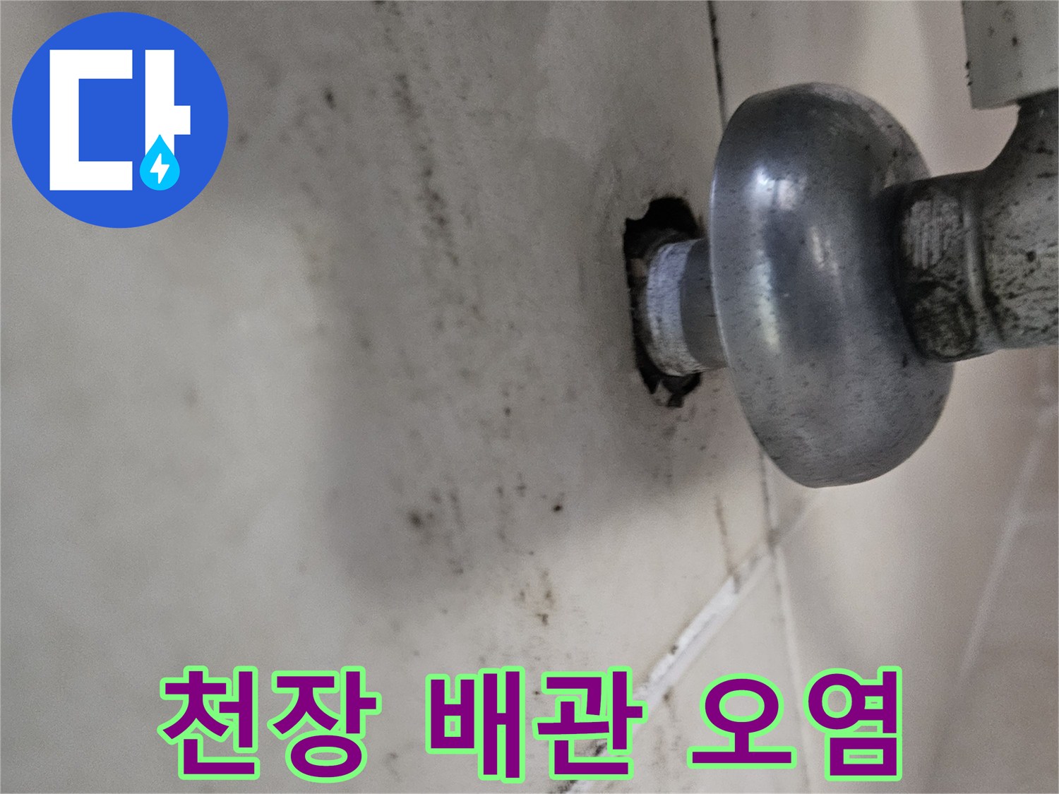습기로 인해 변색된 천장 마감재와 배관 연결부