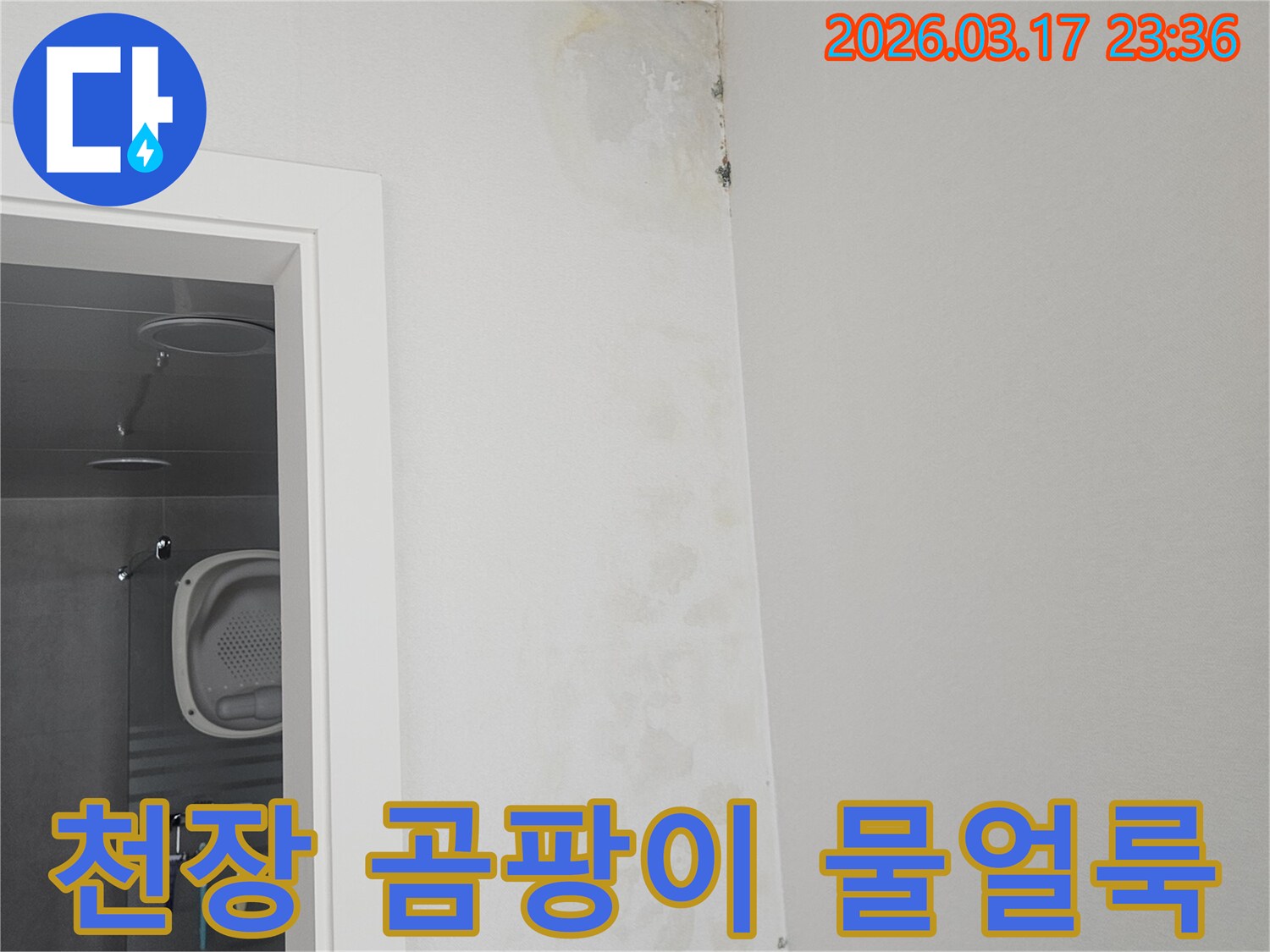 천장-모서리에-발생한-곰팡이와-물-얼룩-확인