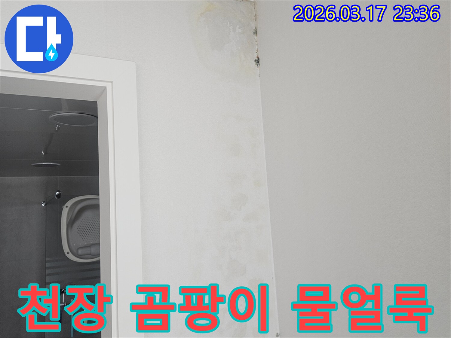 천장-모서리에-발생한-곰팡이와-물-얼룩-확인
