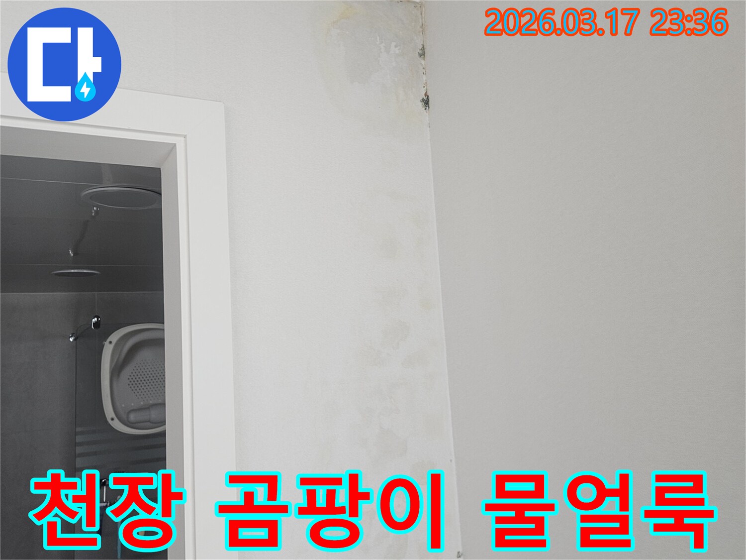 천장-모서리에-발생한-곰팡이와-물-얼룩-확인