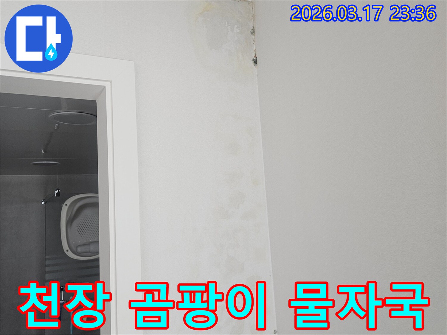 천장-모서리에-발생한-곰팡이와-물-자국-확인