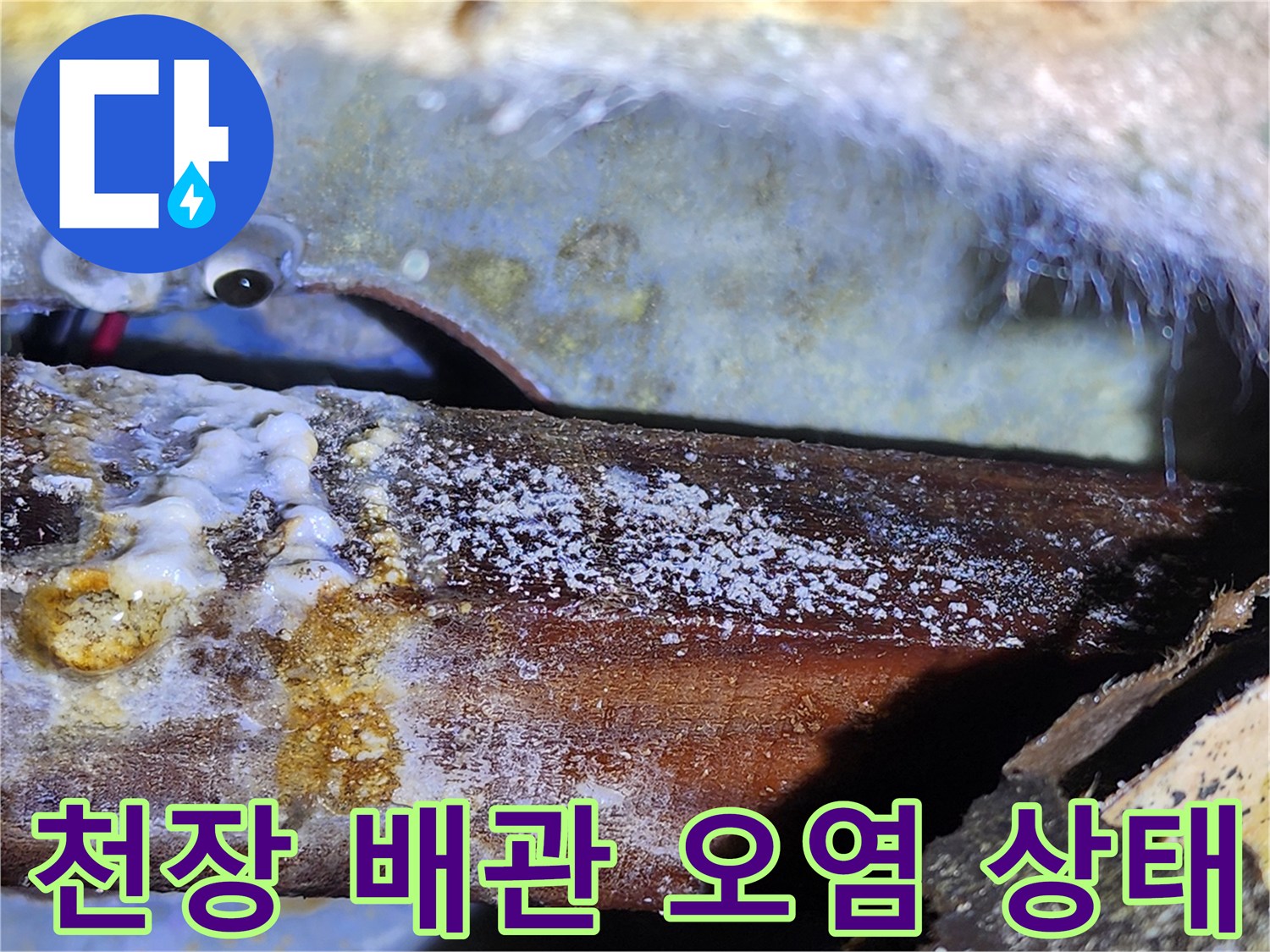 아파트 천장 내부-배관 부위의 하얀 곰팡이와 물자국