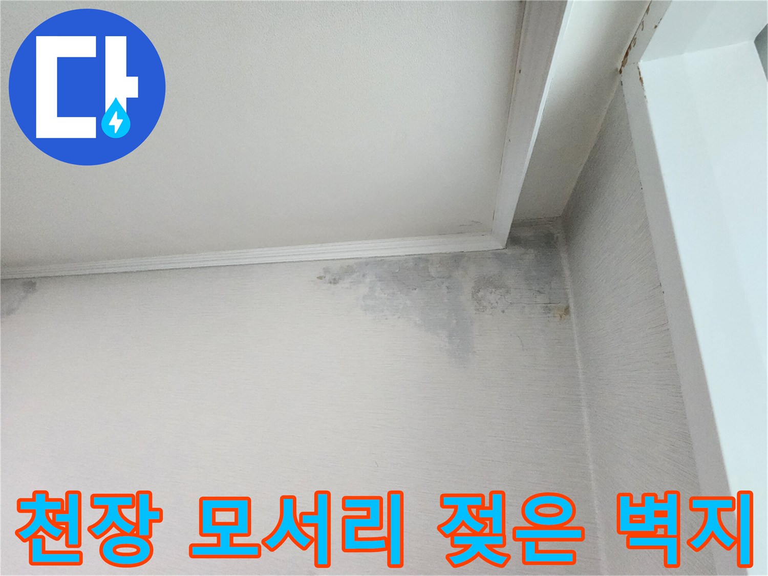 천장과 벽면 경계에 나타난 누수로 인한 곰팡이 오염