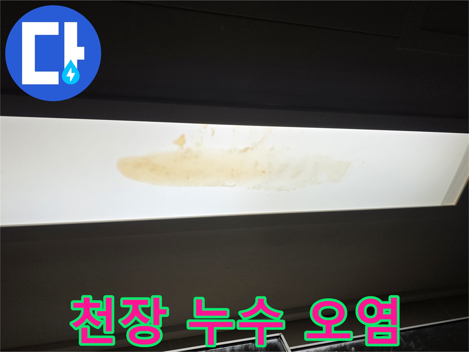 천장 판넬에 나타난 젖은 얼룩과 물샘 흔적