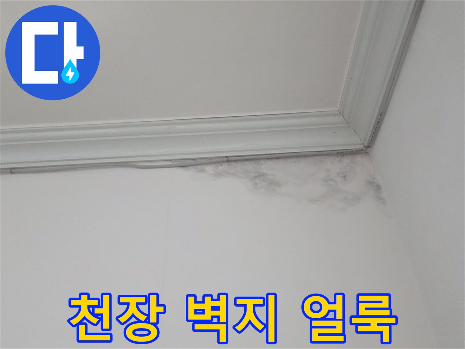 분당-수내동-아파트-천장-벽지-누수-얼룩-상태