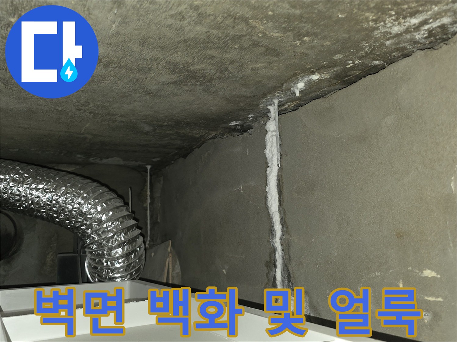 습기로 인해 하얗게 변한 천장 콘크리트 부위