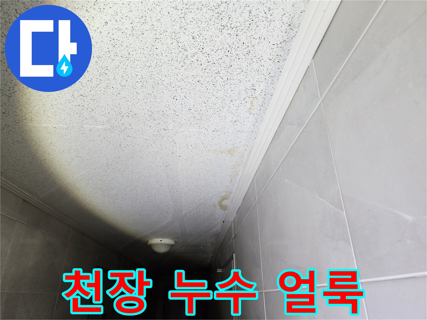 복도 천장에 남은 물샘으로 인한 얼룩 자국
