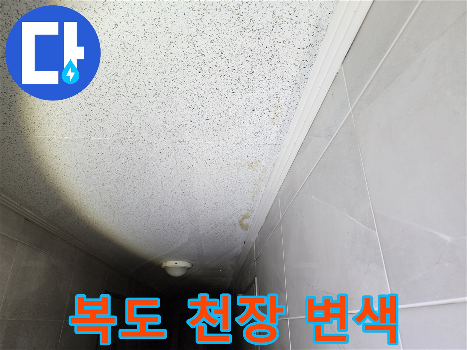 습기가 스며들어 색이 변한 천장 마감재 부위