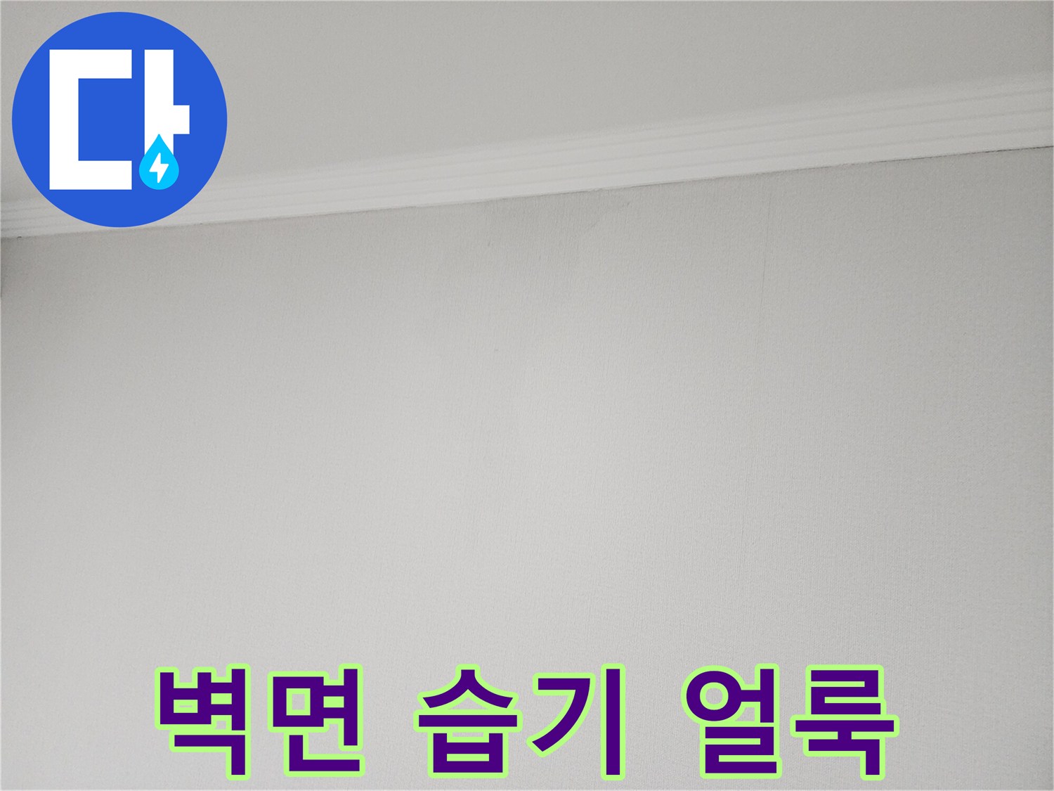 천장 벽지가 젖어 색이 변한 누수 의심 지점 사진