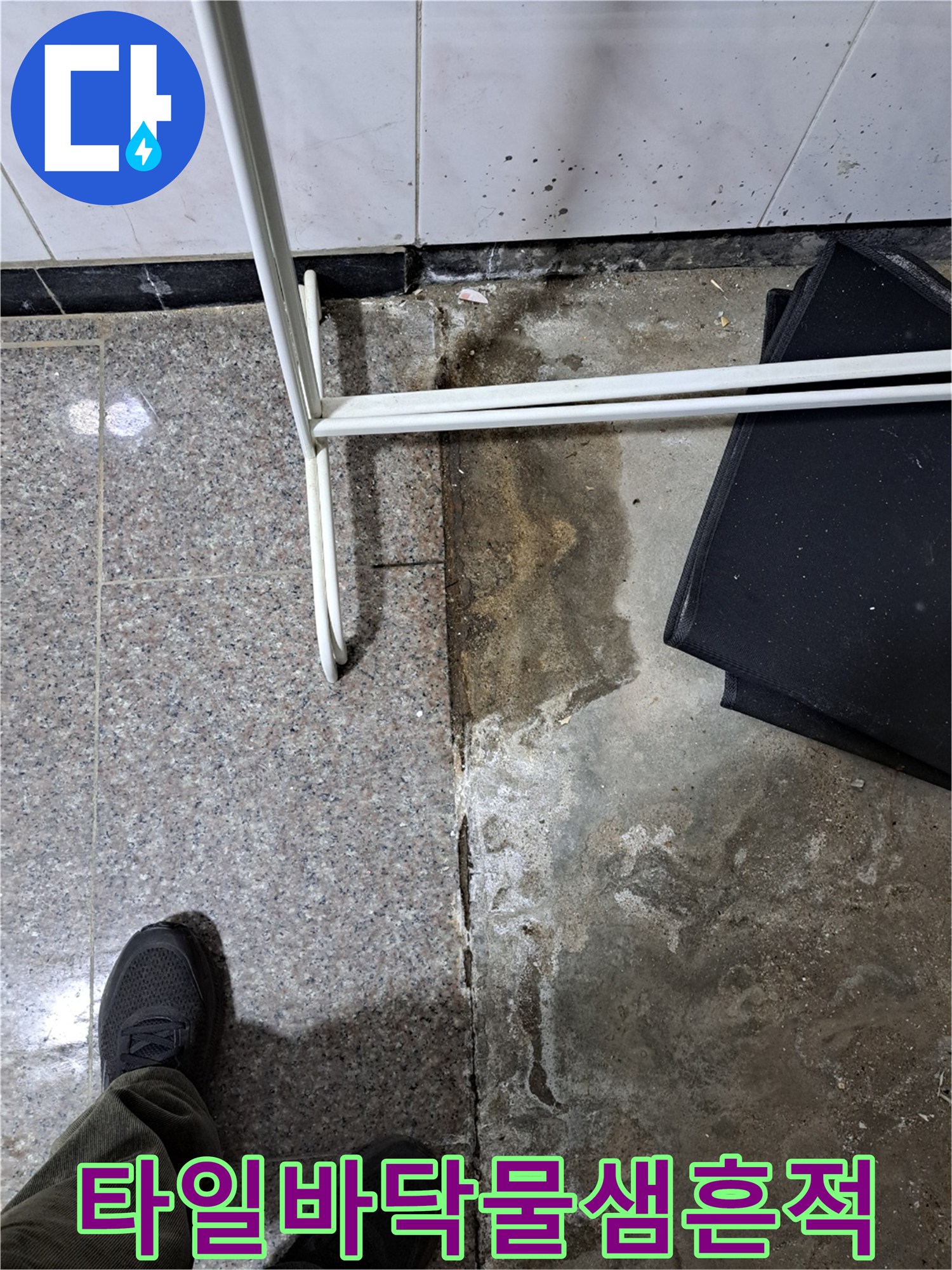 금천구 반지하 세대-타일 사이 젖은 흔적과 습기 상태
