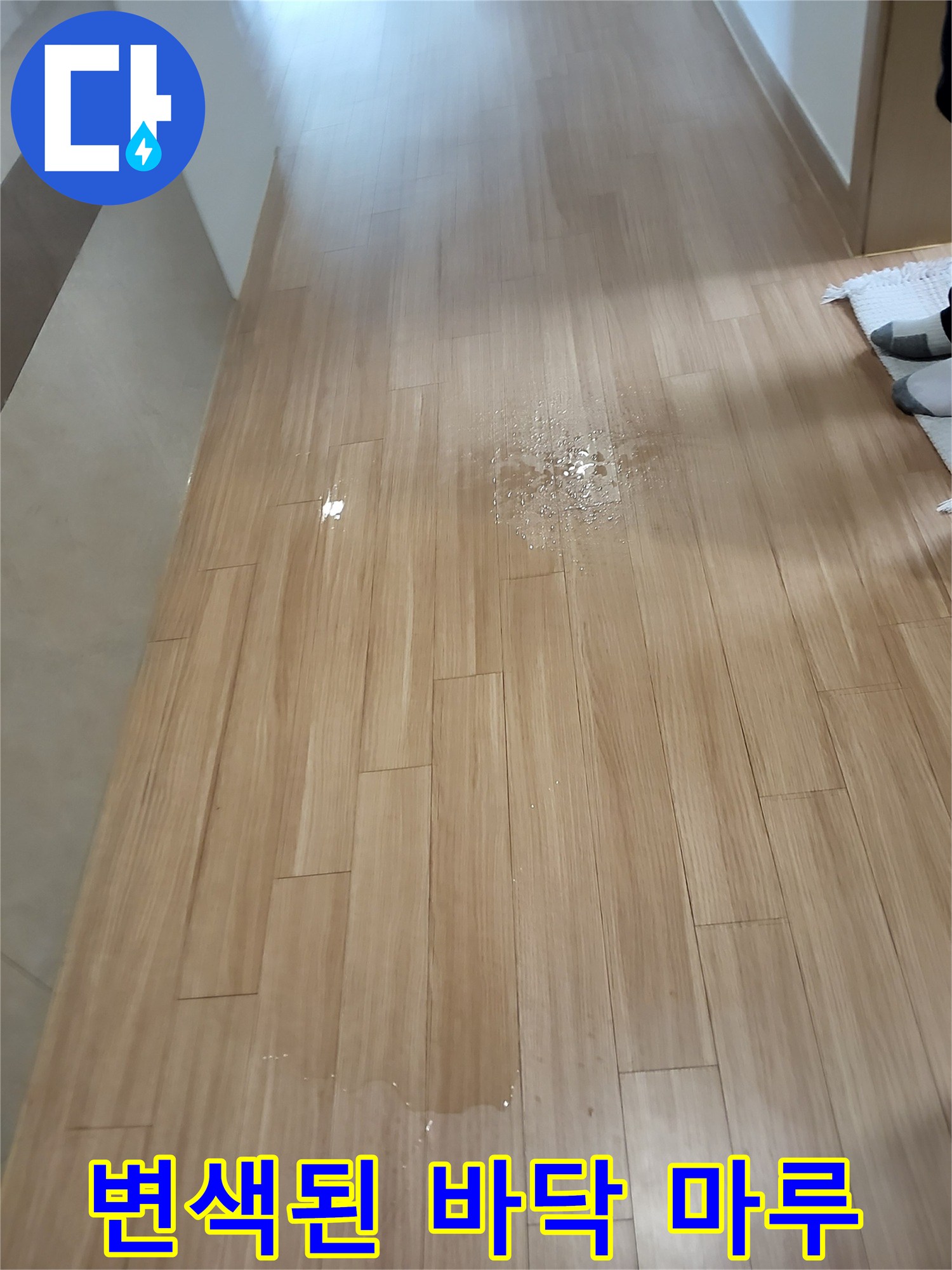 물기가-스며들어-어둡게-변한-마루-표면
