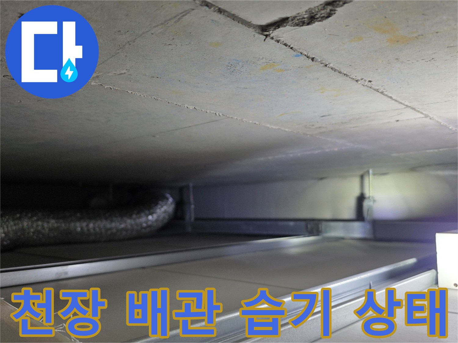 천장 슬라브-배관 주변의 습기 확인