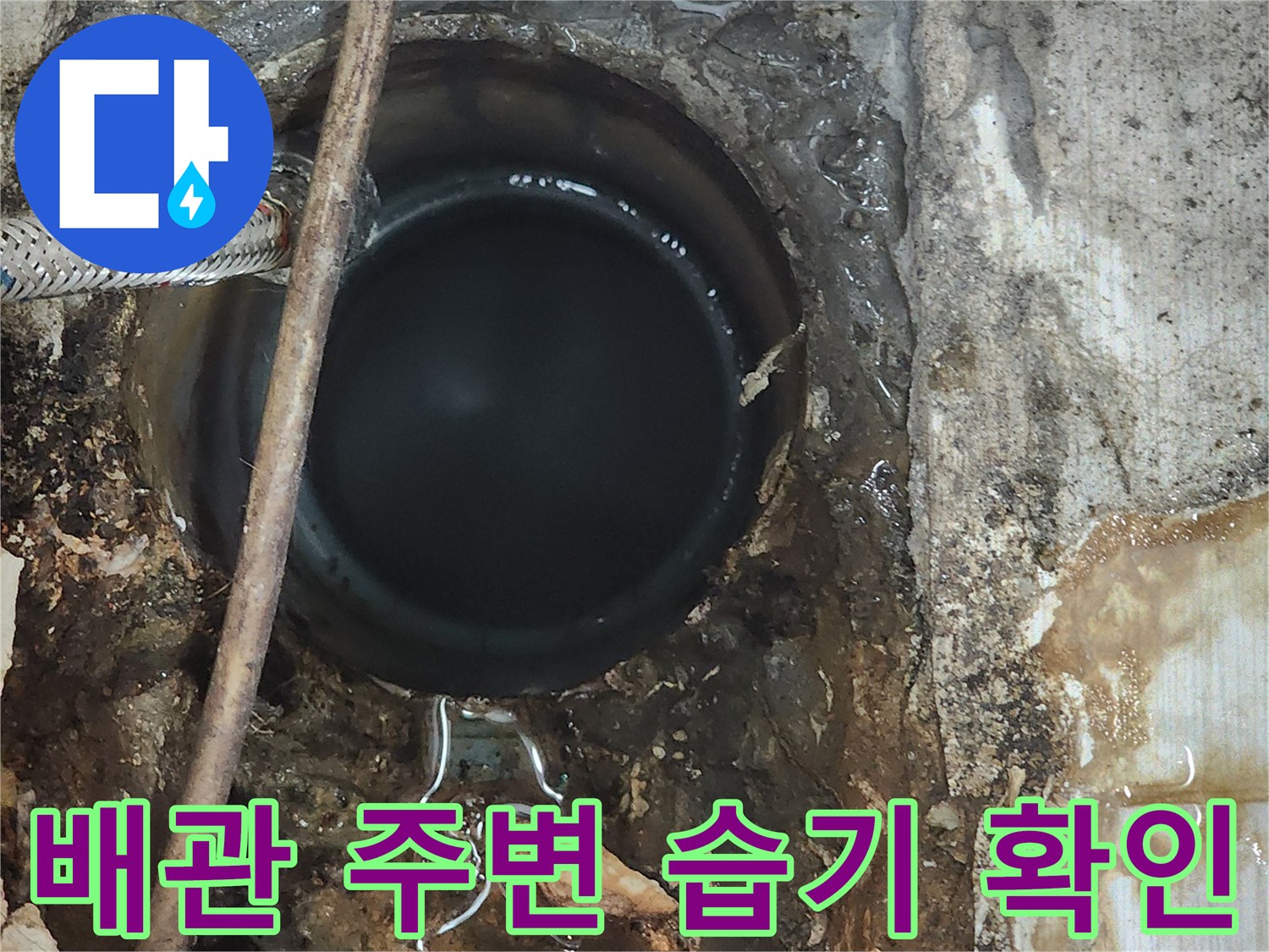오수관-연결부-주변-축축한-토양과-고인-물
