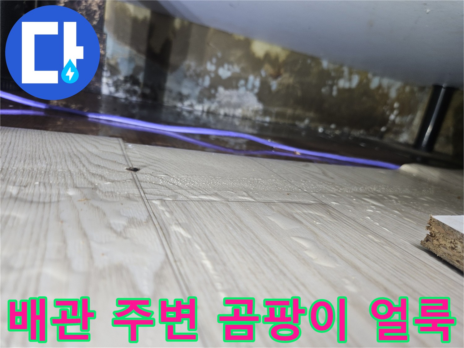 싱크대-하부-벽면의-곰팡이와-습기-흔적