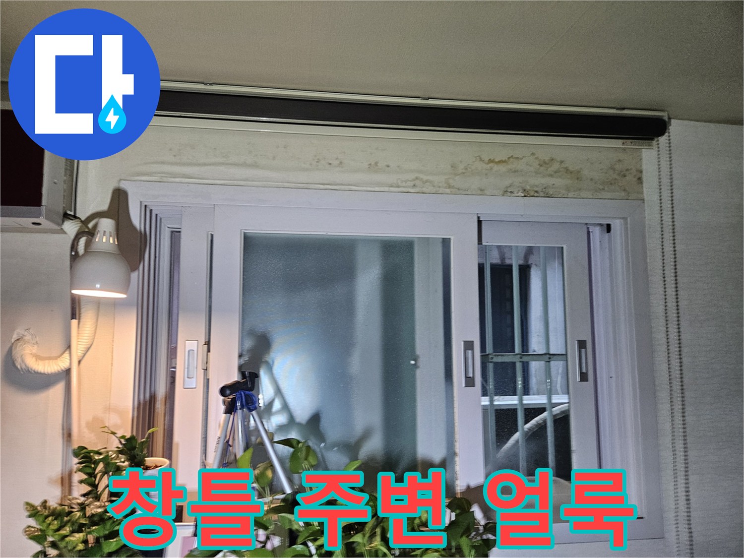 아파트-창틀-상단-곰팡이와-얼룩-현황