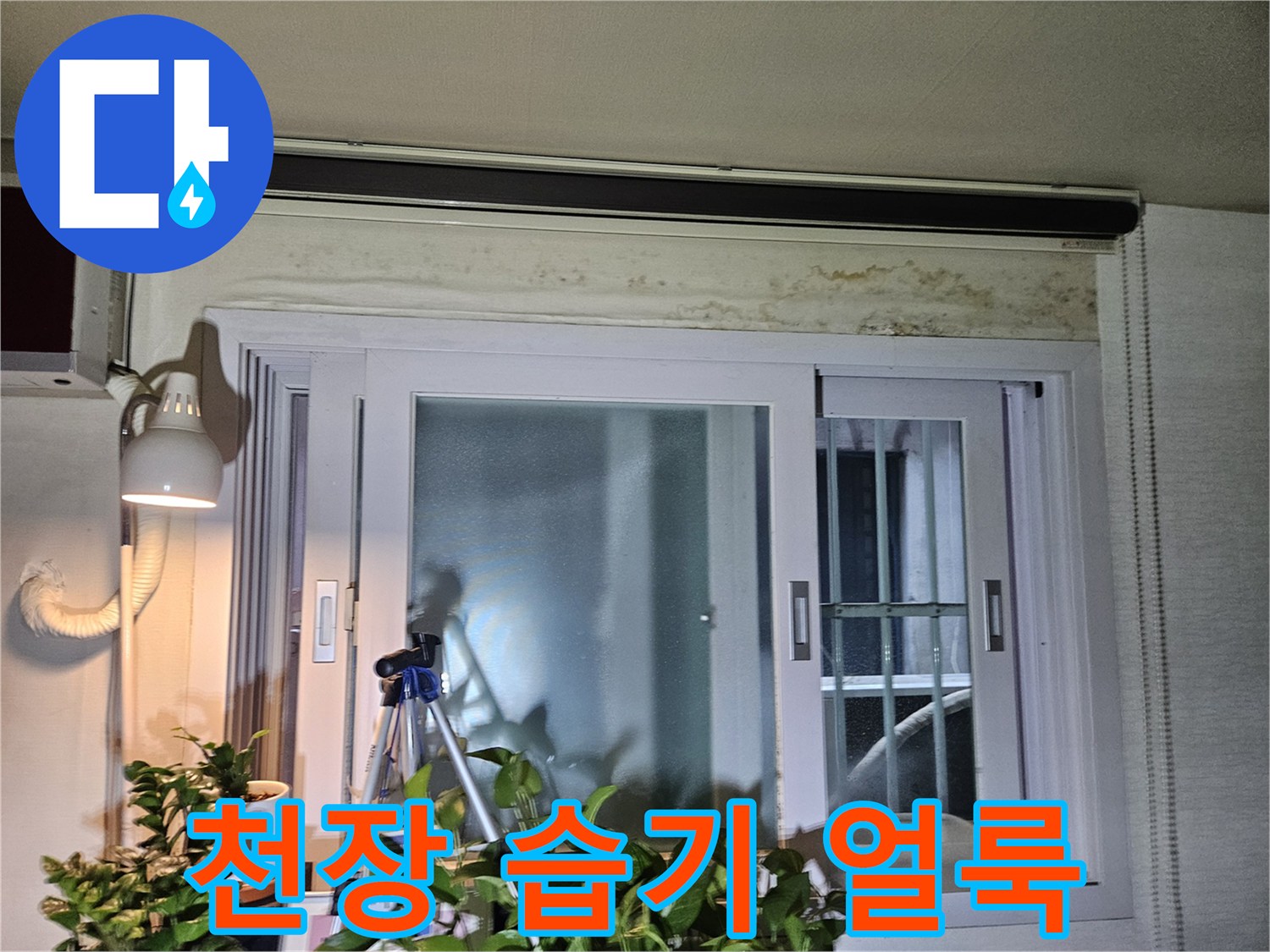 창문-상부-천장재의-습윤한-상태-확인