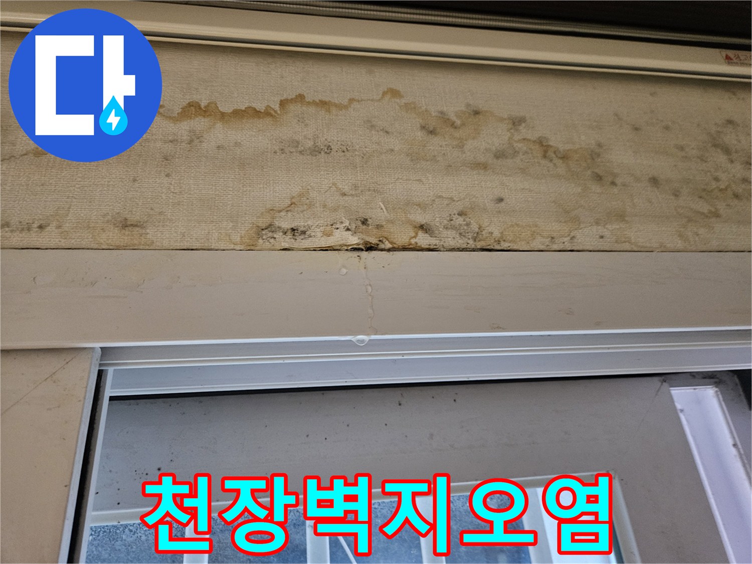 축축하게-젖어있는-천장-벽면-부위