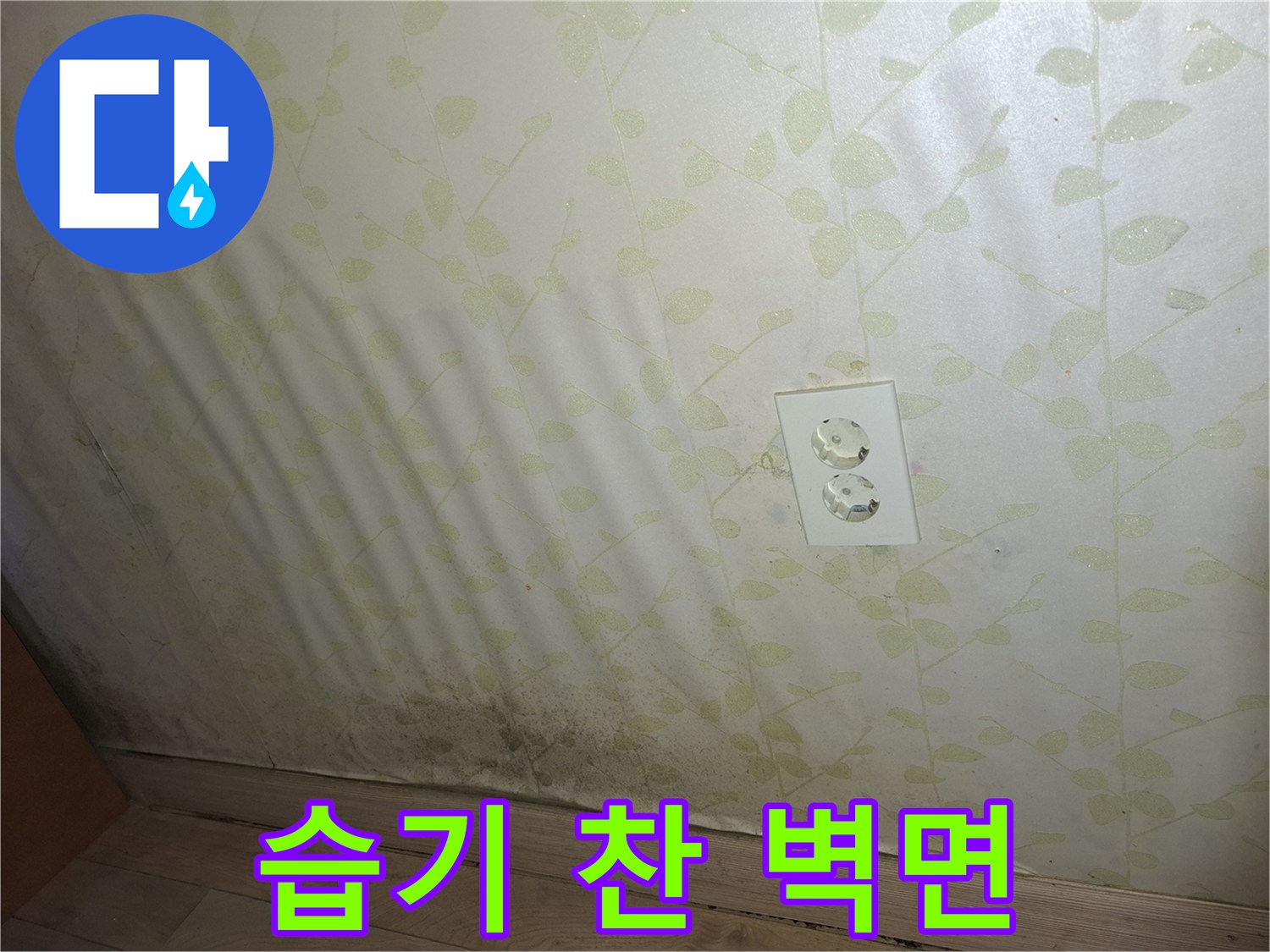 물기가 스며든 꽃무늬 벽지 상태