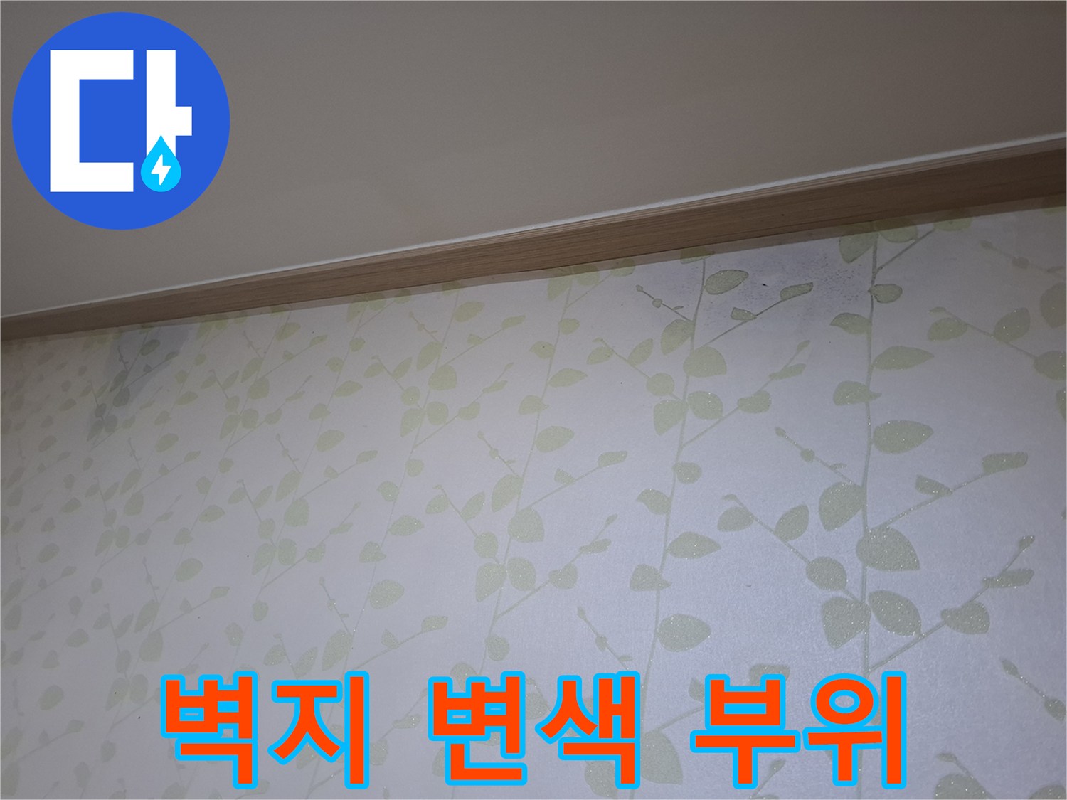 습기로 인해 어둡게 변한 벽지의 젖은 영역