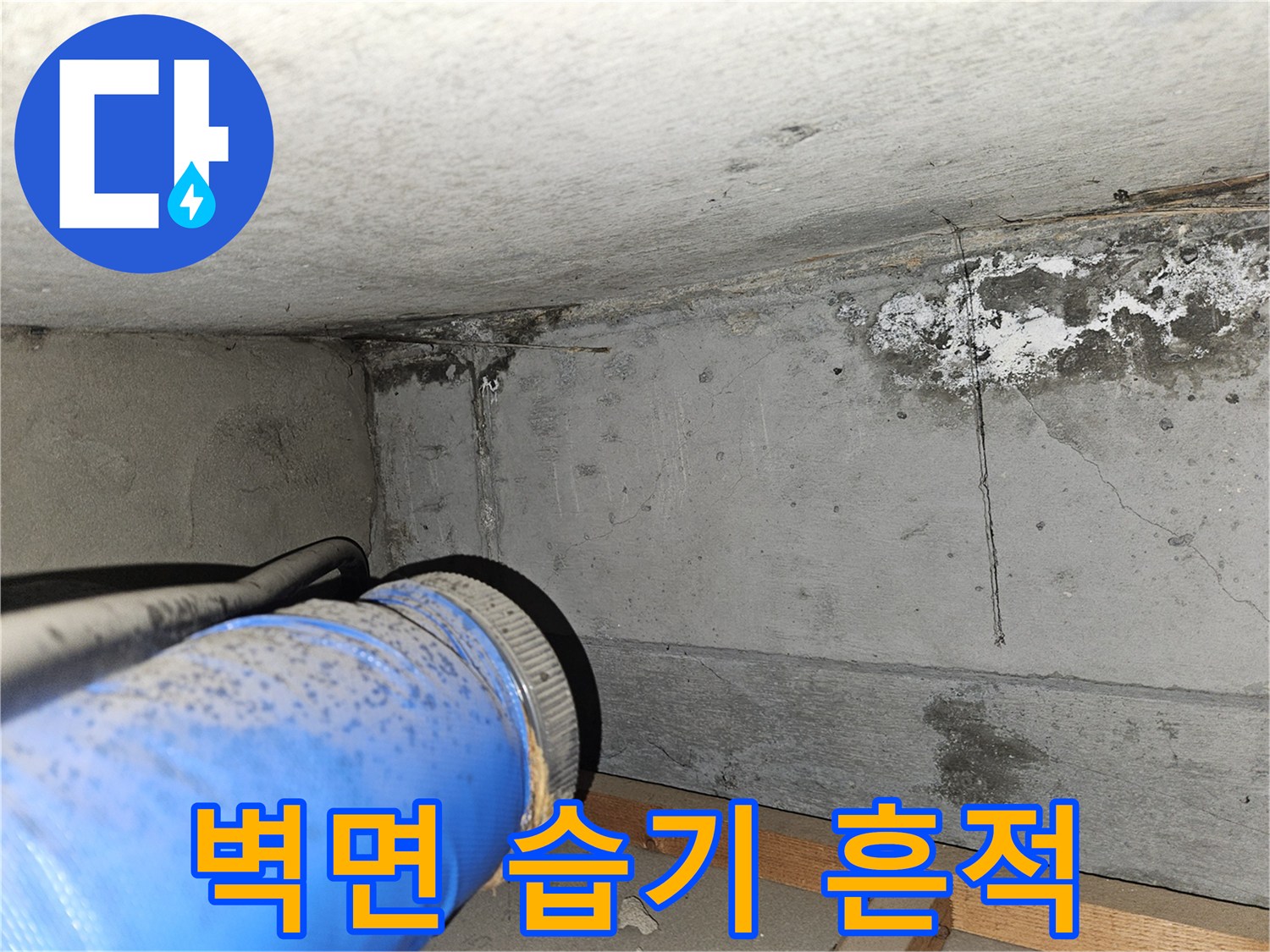 습기가 스며든 콘크리트 표면 상태