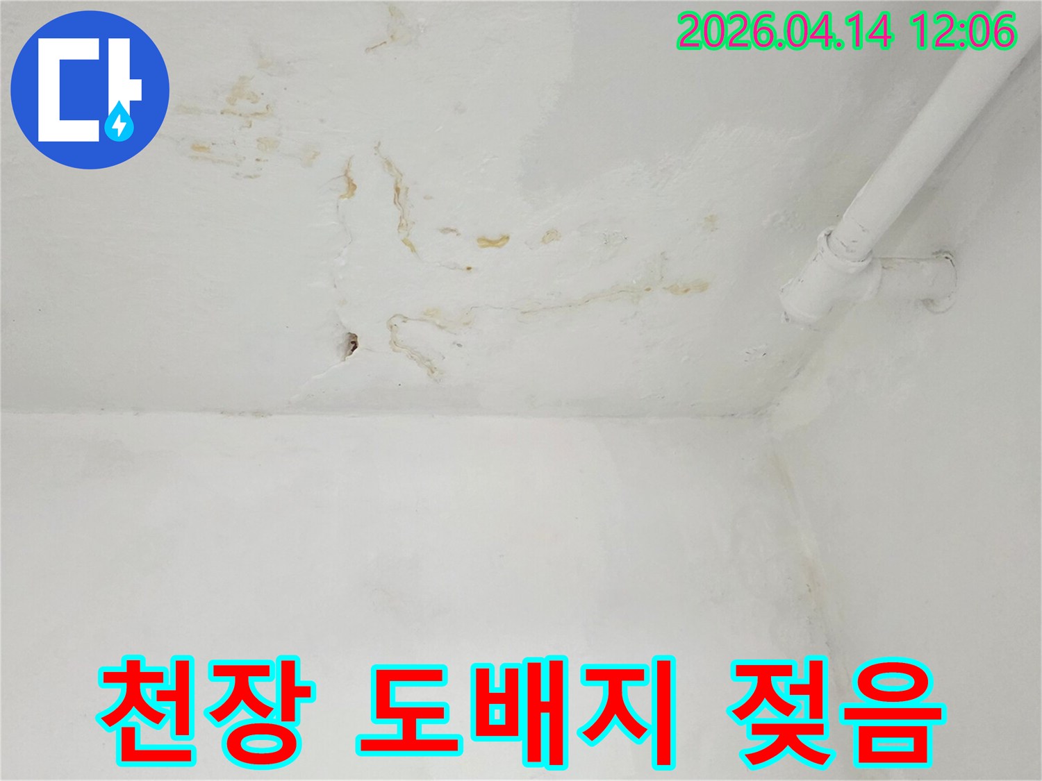 천장-도배지가-물에-젖어-변색되고-들뜬-심각한-누수-현장