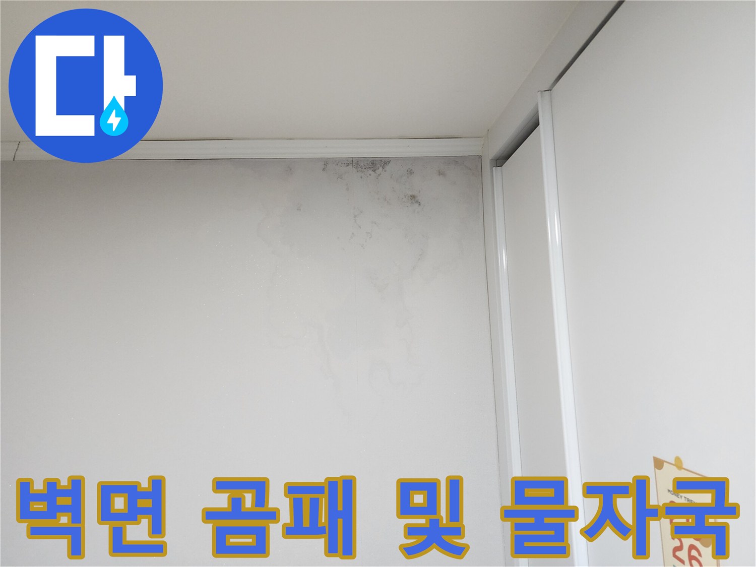 화장실 벽면에 발생한 검은 곰팡이와 습기 흔적
