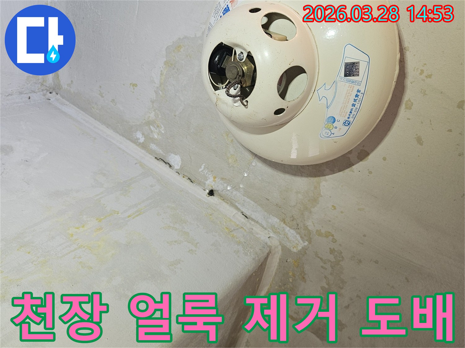 천장-온수기-아래-누수로-인해-천장과-벽면에-심한-얼룩과-곰팡이가-발생하여-얼룩-제거-및-도배-공사가-필요한-현장