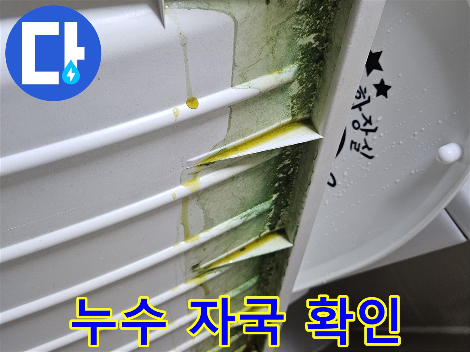 배관-연결부-주변의-습기와-곰팡이로-오염된-마감재