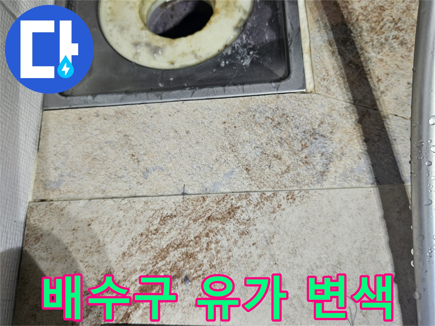 배수구-유가-주변의-누수-흔적과-배관-상태