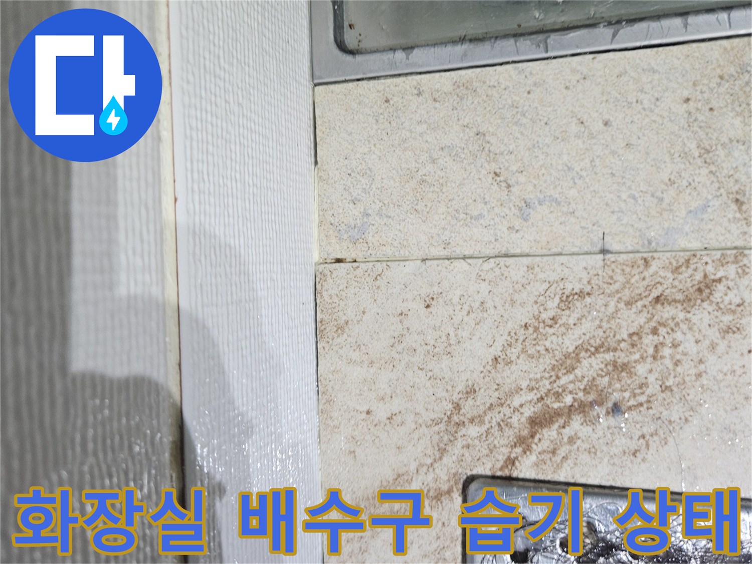 화장실-배수구-주변-타일-및-배관-연결부-습기-상태