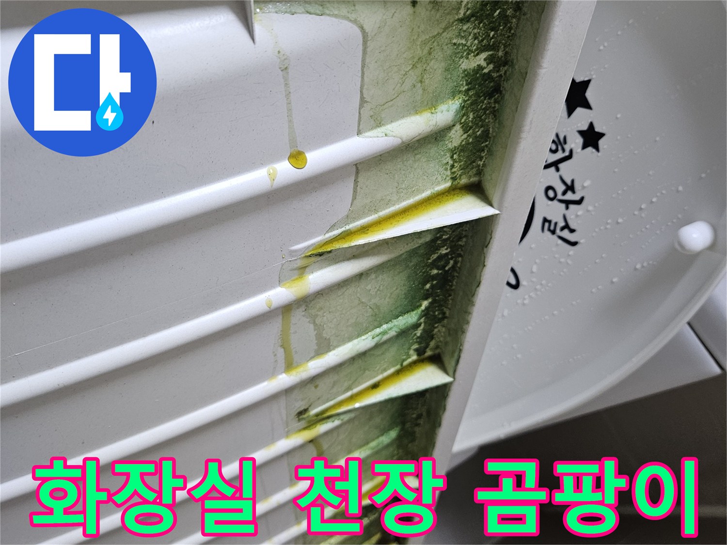 화장실-천장-점검구-내부-곰팡이와-물샘-흔적