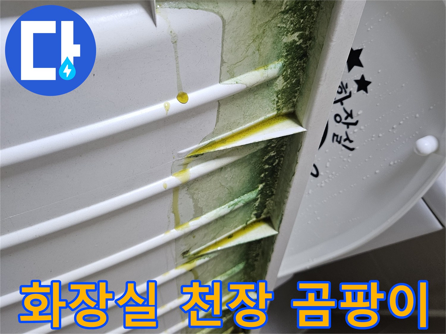 화장실-천장-점검구-내부-곰팡이와-습기-흔적