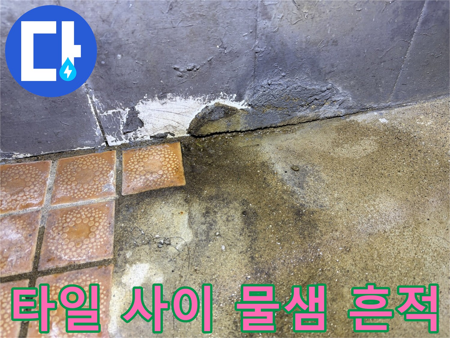물기가-스며든-바닥-타일-경계선