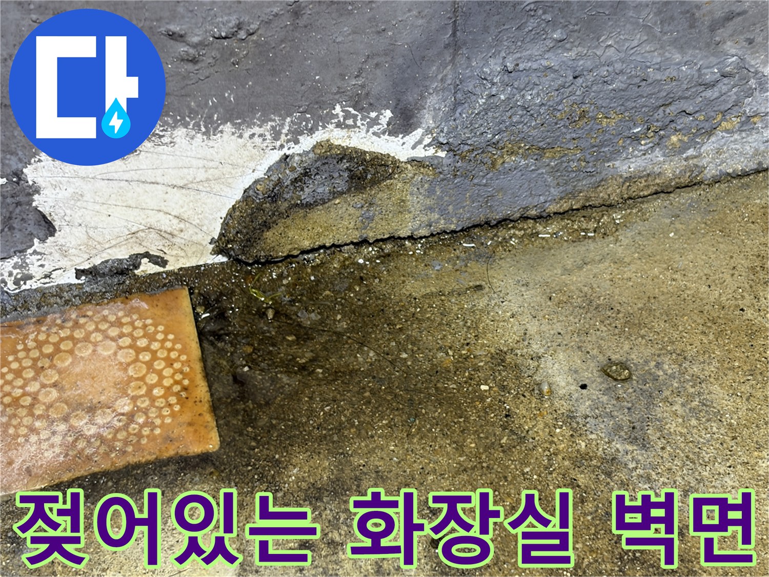벽체-하단부의-백화현상과-습기-침투
