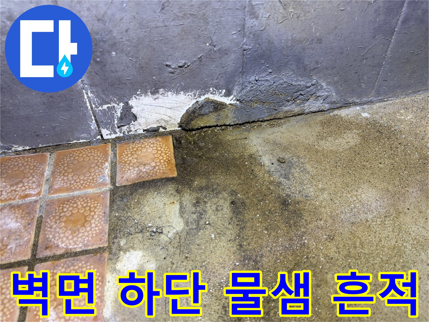 축축하게-젖은-화장실-타일-경계선