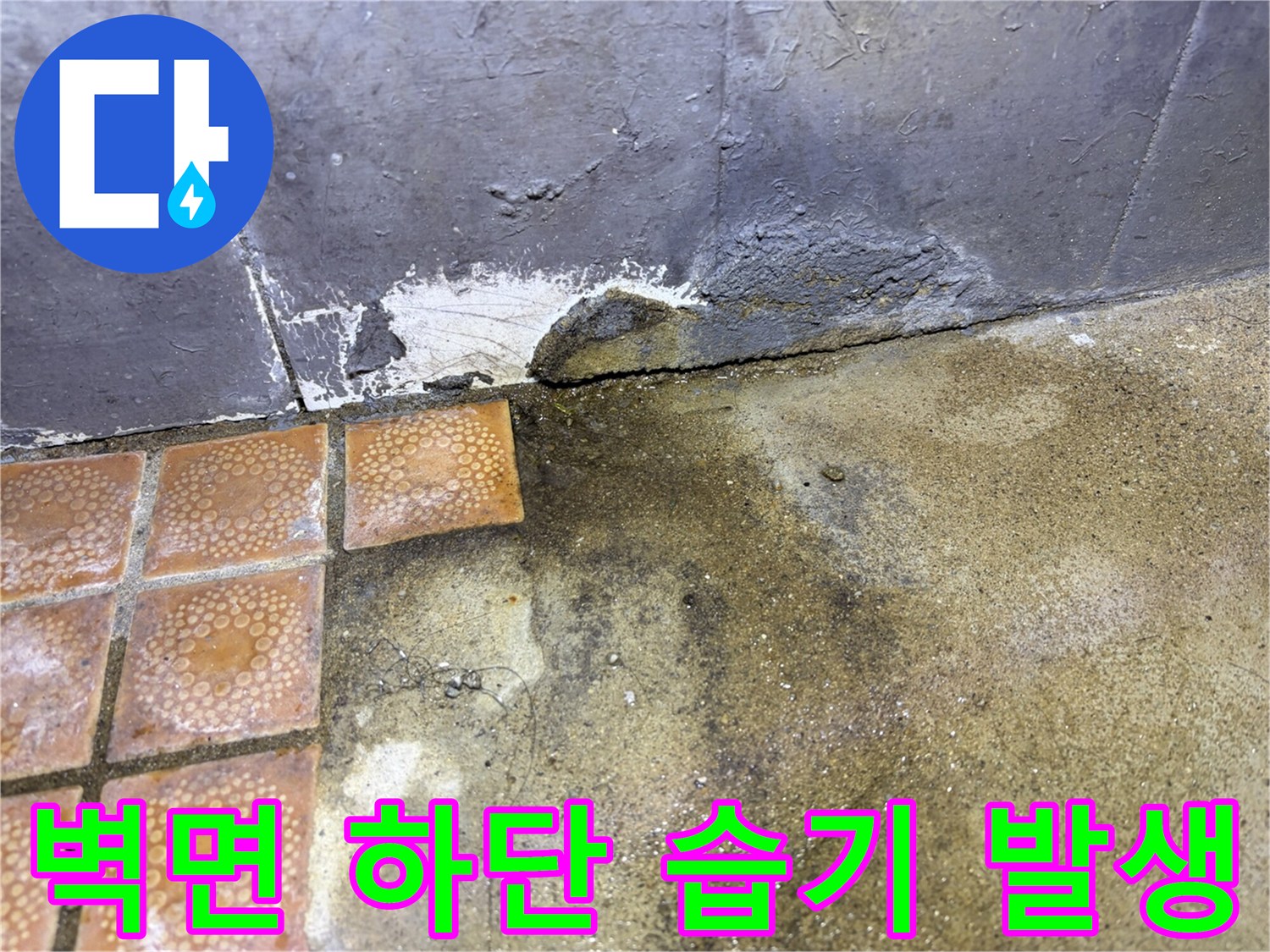 타일-경계-부분의-젖은-상태